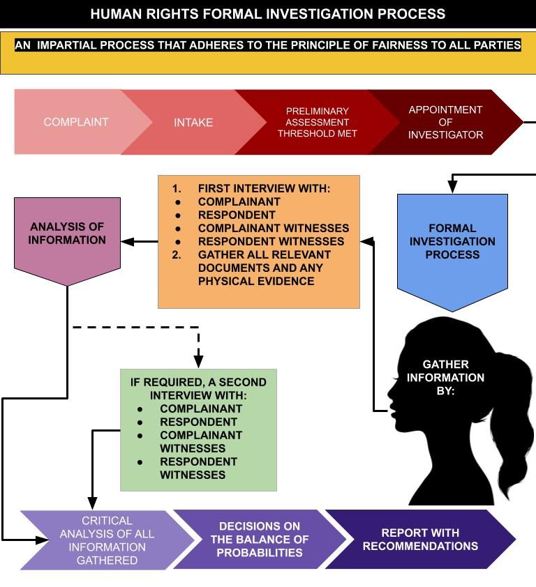 graphic representation of the formal Human Rights investigation process