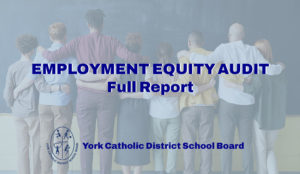 Employment Equity Audit – Full Report