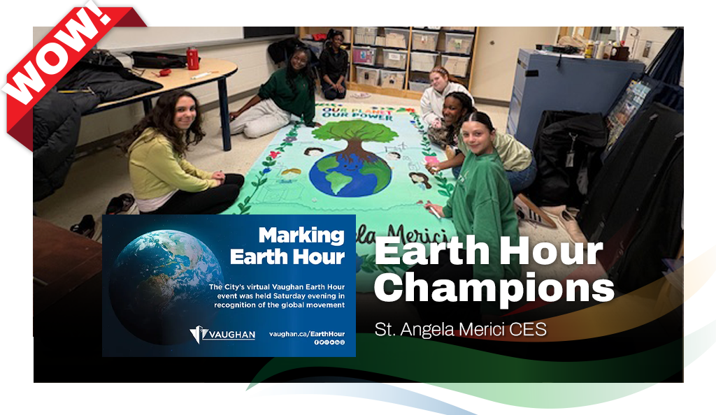 Earth Hour Champions